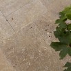 Travertin Noce Élégance Intérieur